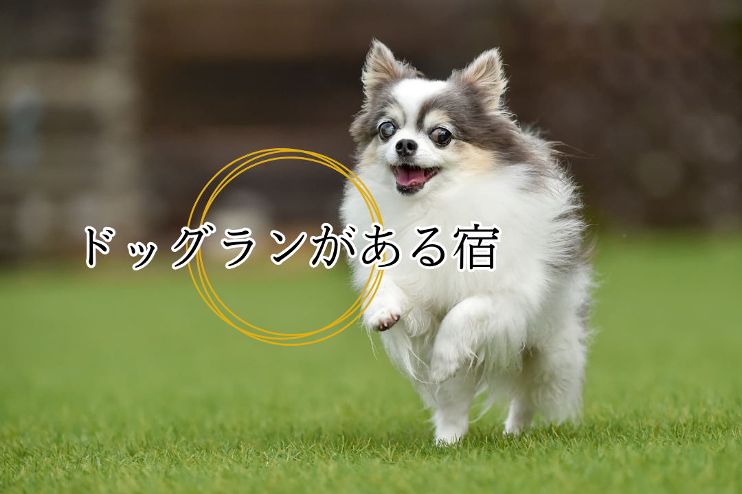ドッグランがある宿