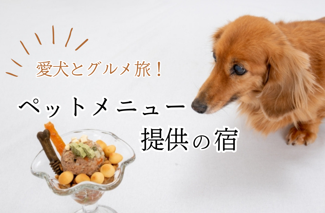 ドッグメニューがある宿