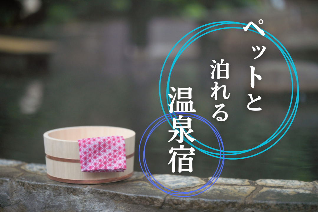 ペットと泊まれる温泉宿